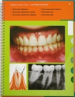 Здоровое состояние и заболевания пародонта Альбом артикул 6094a.